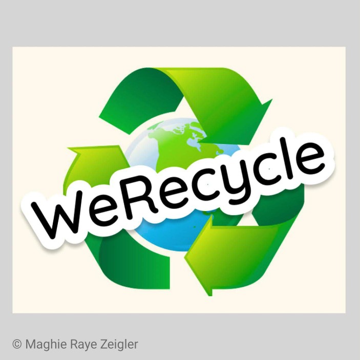 The WeRecycle Project